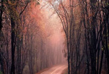 中美共同淡化朝鲜无核化议题的深层原因